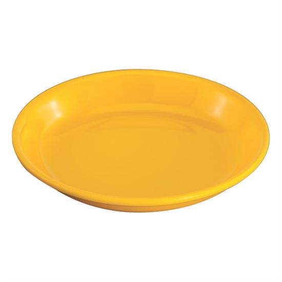 Picture of DINEWELL PANIPURI PLATE 17 CM 2005