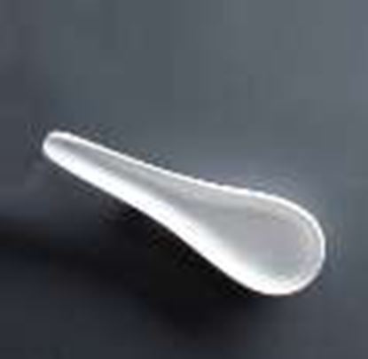 Picture of ACRYLIC SOUP SPOON
