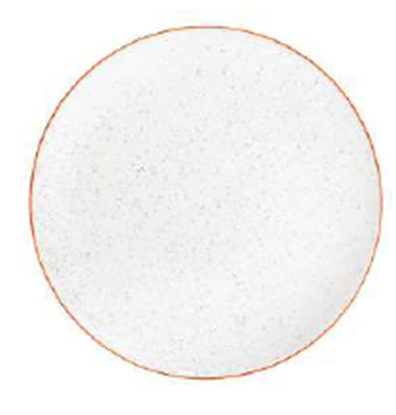 Picture of CC SPECKLE IVORY PLATE 10