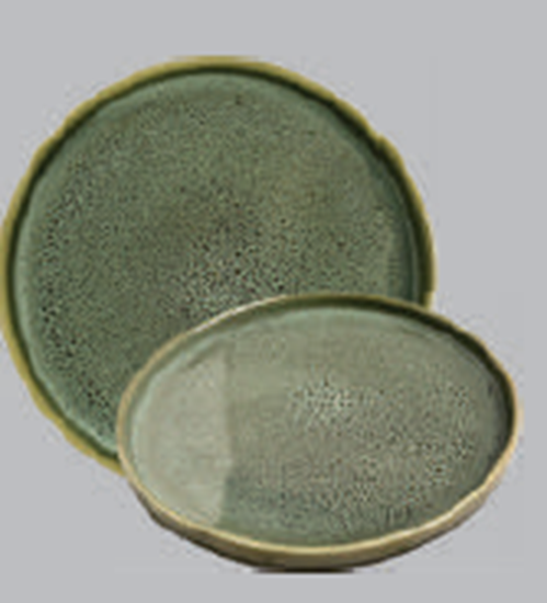 Picture of DINEWELL SW RN GREEN KADEN DINNER PLATE