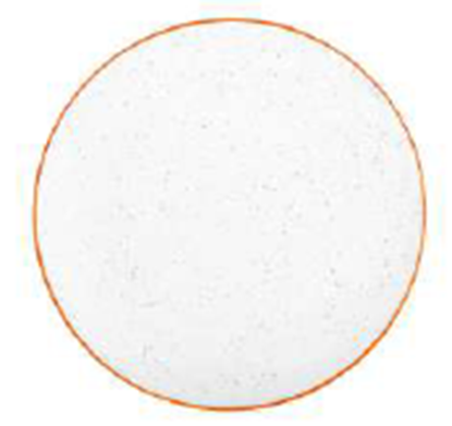 Picture of CC SPECKLE IVORY PLATE 7