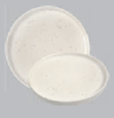 Picture of DINEWELL SW RN CREAM KADEN DINNER PLATE