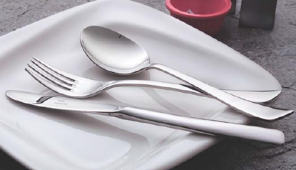 Picture of VNS 125 ICONIC SOUP SPOON