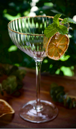 Picture of DN VIDRIO COUPE MARTINI 280ML