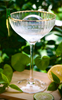 Picture of DN VIDRIO COUPE MARTINI 280ML