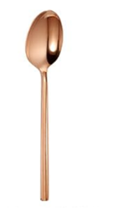 Picture of AWKENOX TG DELTON TABLE SERVICE SPOON RG (2P)