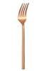 Picture of AWKENOX TG DELTON BABY FORK RG (6P)