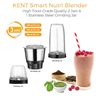 Picture of KENT NUTRI BLENDER 3 JAR