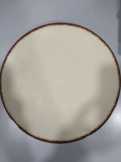 Picture of DINEWELL CHOC CHIP COUPE DINNER PLATE 11 DWP-5244