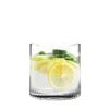 Picture of OCEAN PULSE DOUBLE ROCEANK 355ML 24612