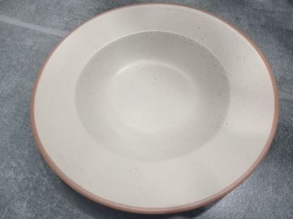 Picture of STN DUAL CREAM PASTA PLATE 9 2363
