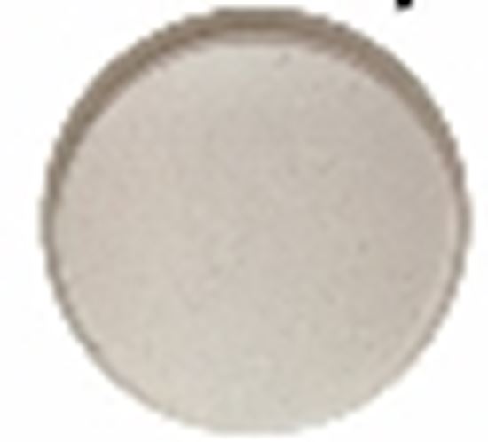 Picture of DINEWELL CREME MINTO DINNER PLATE 11 5133