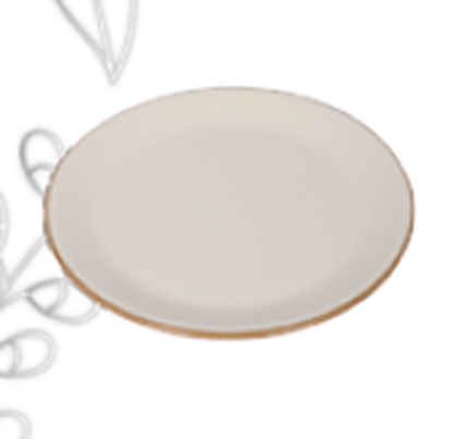 Picture of STN DUAL CREAM ROUND DINNER PLATE 11 2352