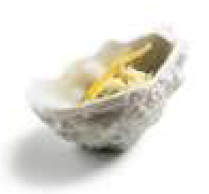Picture of AS SB TEA POT 685 ML