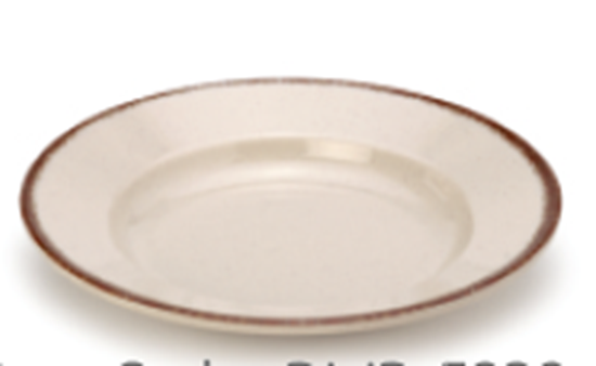 Picture of DINEWELL CHOC CHIP COUPE PASTA PLATE 9" 5239
