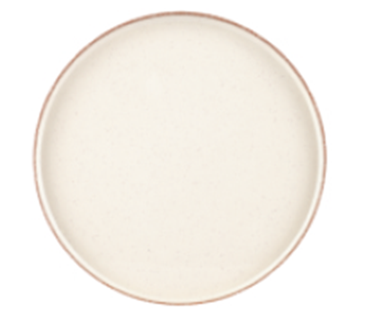 Picture of DINEWELL CHOC CHIP MINTO DINNER PLATE 5241