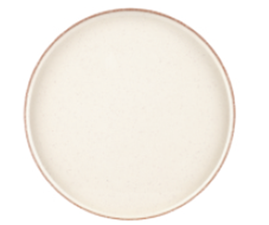 Picture of DINEWELL CHOC CHIP MINTO DINNER PLATE 5241