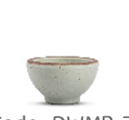 Picture of DINEWELL RUSTY GREEN COUPE CHATNI BOWL 5236