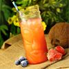 Picture of DN TIKKI GLASS W/LID 22OZ (4PC)